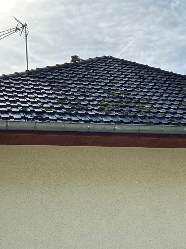 démoussage de toiture avant Saint-Fargeau-Ponthierry